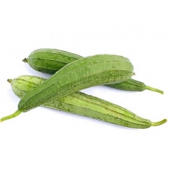 丝瓜-(净)-（公斤）