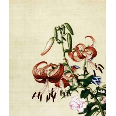 清 郎世宁 花鸟图册 之九纸本40*50