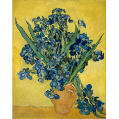 梵高 Irises 鸢尾花纸本93*73