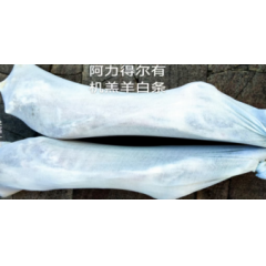兴安岭牧羊阿力德尔白条羊每市斤